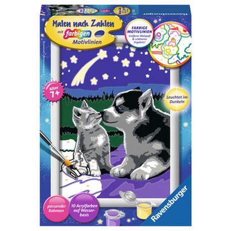 Ravensburger  Malen nach Zahlen Hund und Katze 