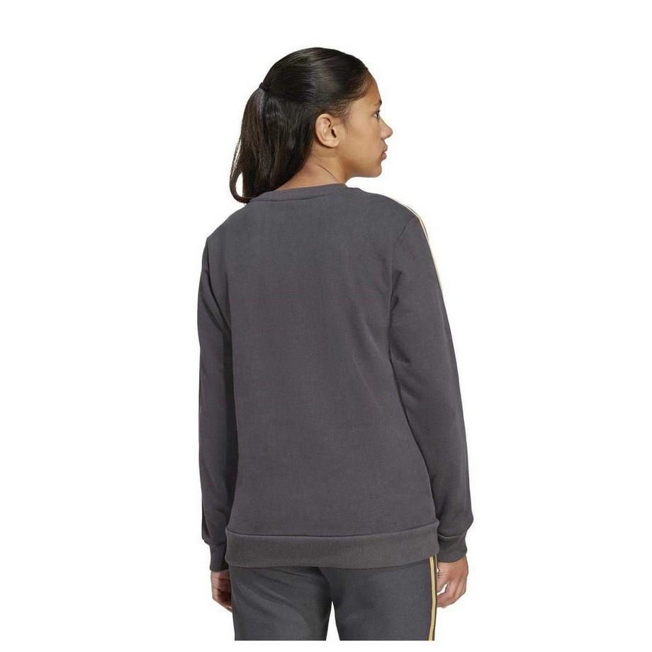 adidas  Sweat Motiftyle Manchester United Fc Terrace Icons 
