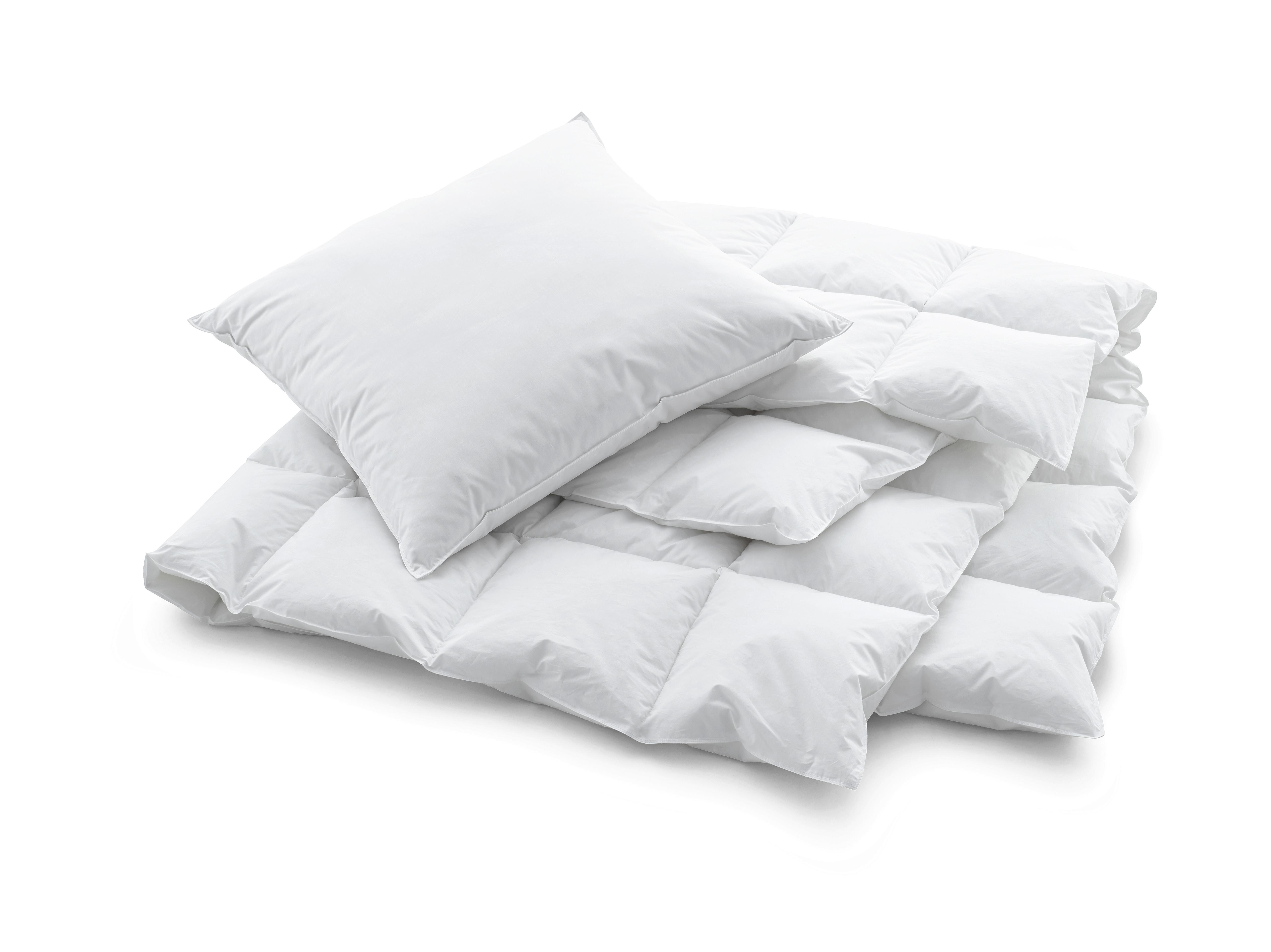 Swiss Dream Kopfkissen Nature Pillow Basic 90  