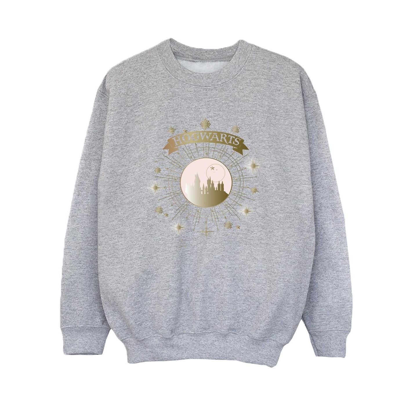 Harry Potter  Hogwarts Sweatshirt 