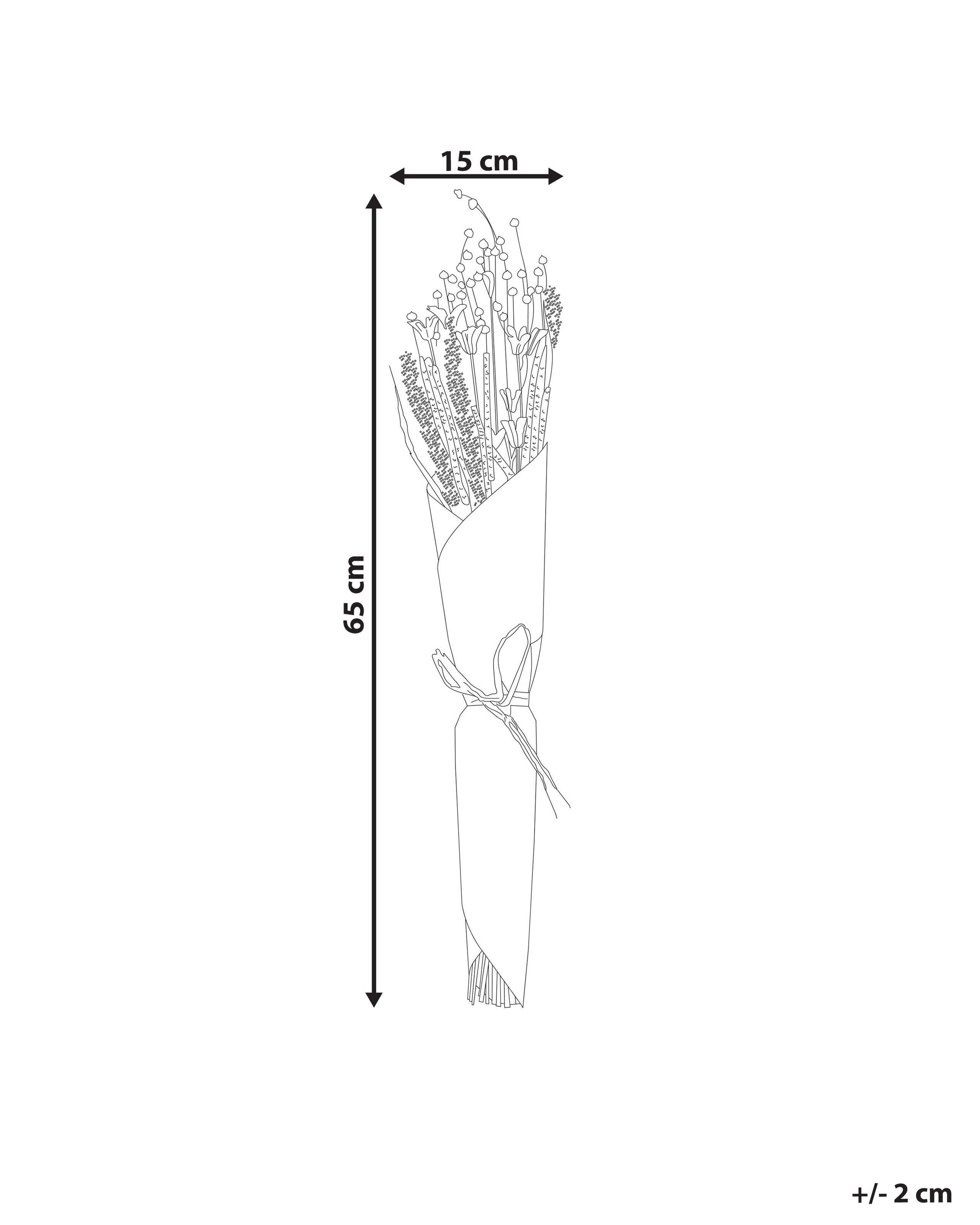 Beliani  Bouquet de fleurs séchées en Fleurs séchées Boho PAMPELUNA 