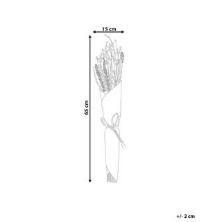 Beliani  Bouquet de fleurs séchées en Fleurs séchées Boho PAMPELUNA 