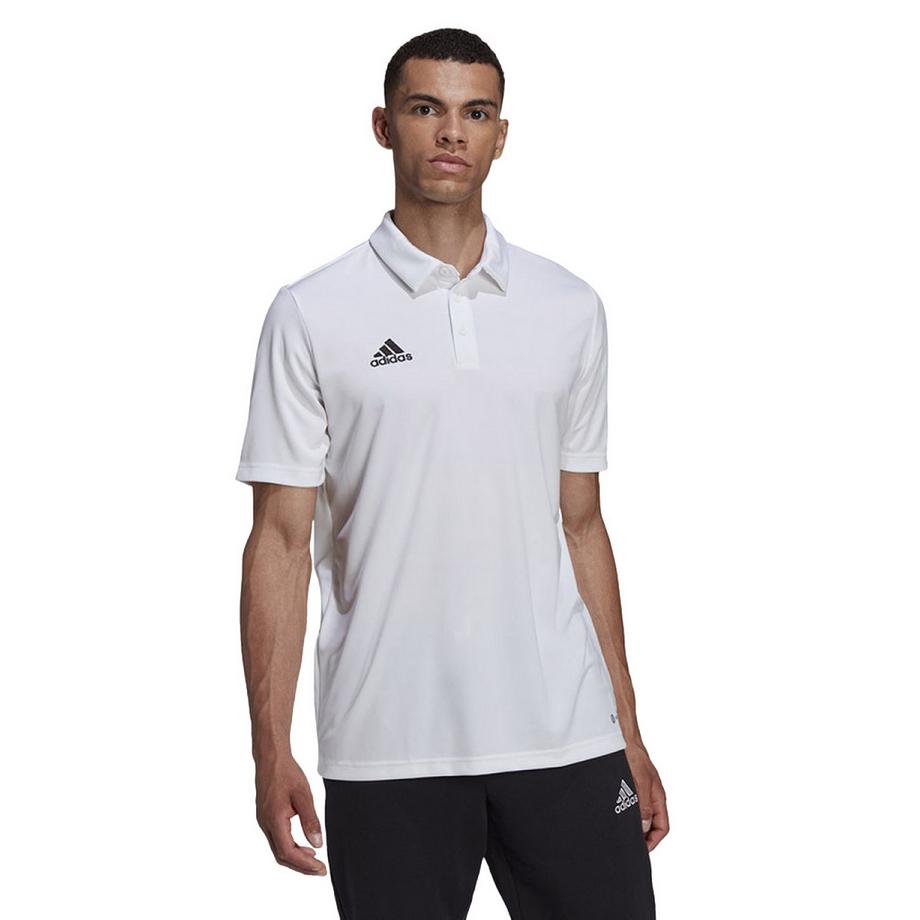adidas  Polo Entrada 