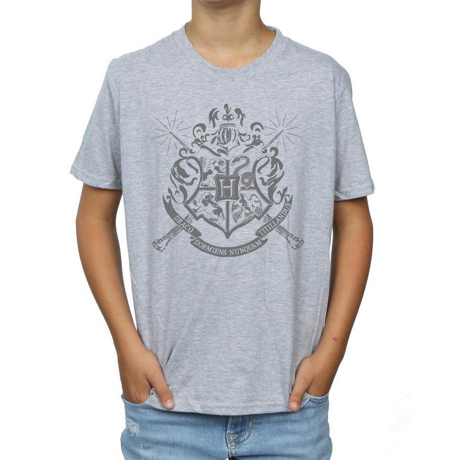 Harry Potter  TShirt 