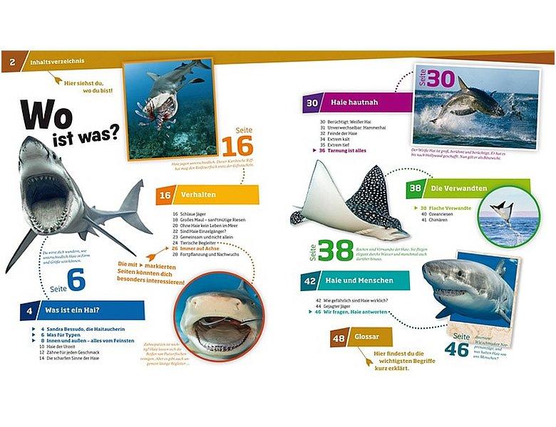 Was ist Was Haie (Nr.95) Manfred Baur Gebundene Ausgabe 