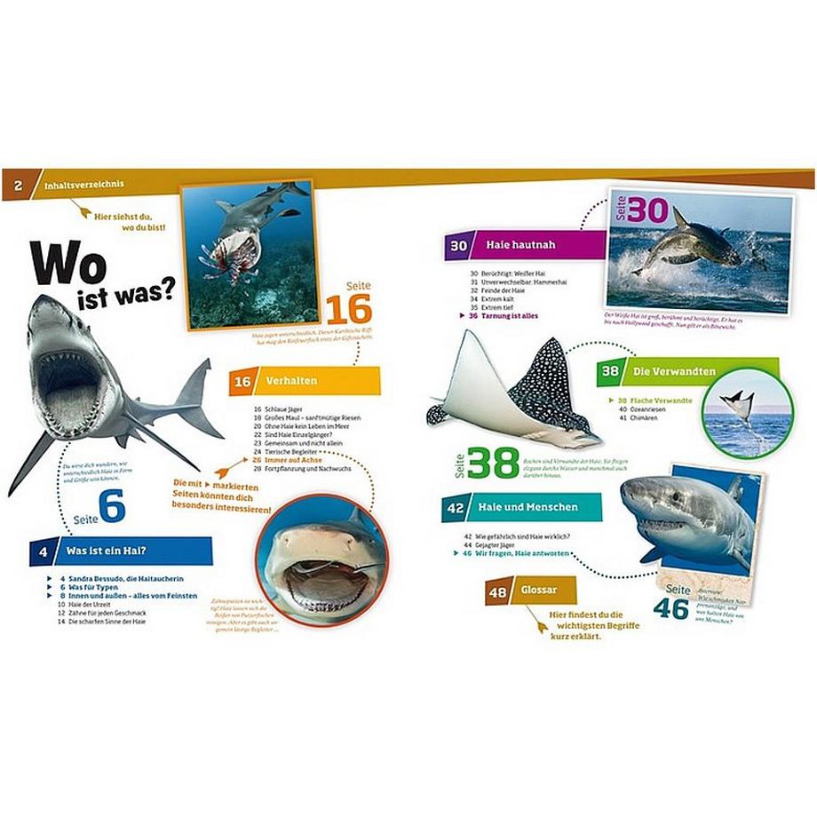 Was ist Was Haie (Nr.95) Manfred Baur Copertina rigida 