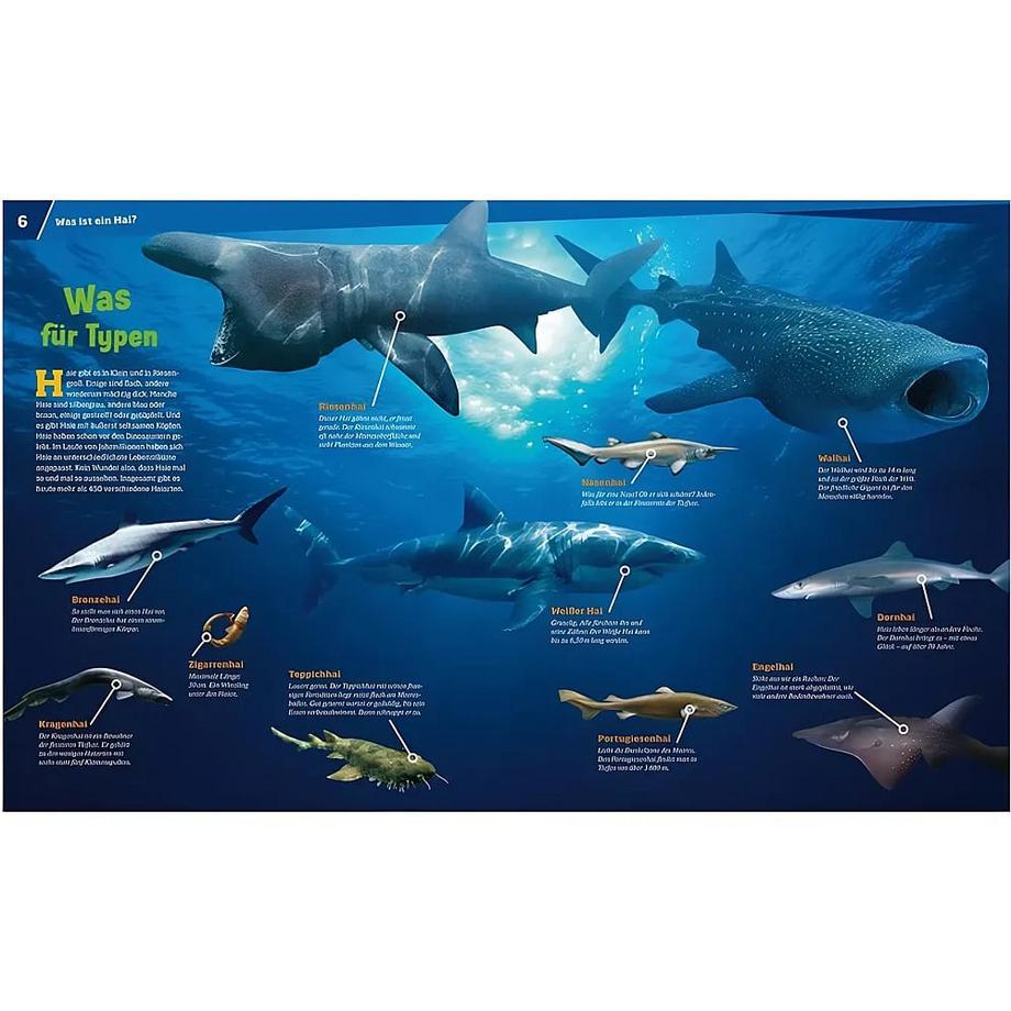 Was ist Was Haie (Nr.95) X Copertina rigida 