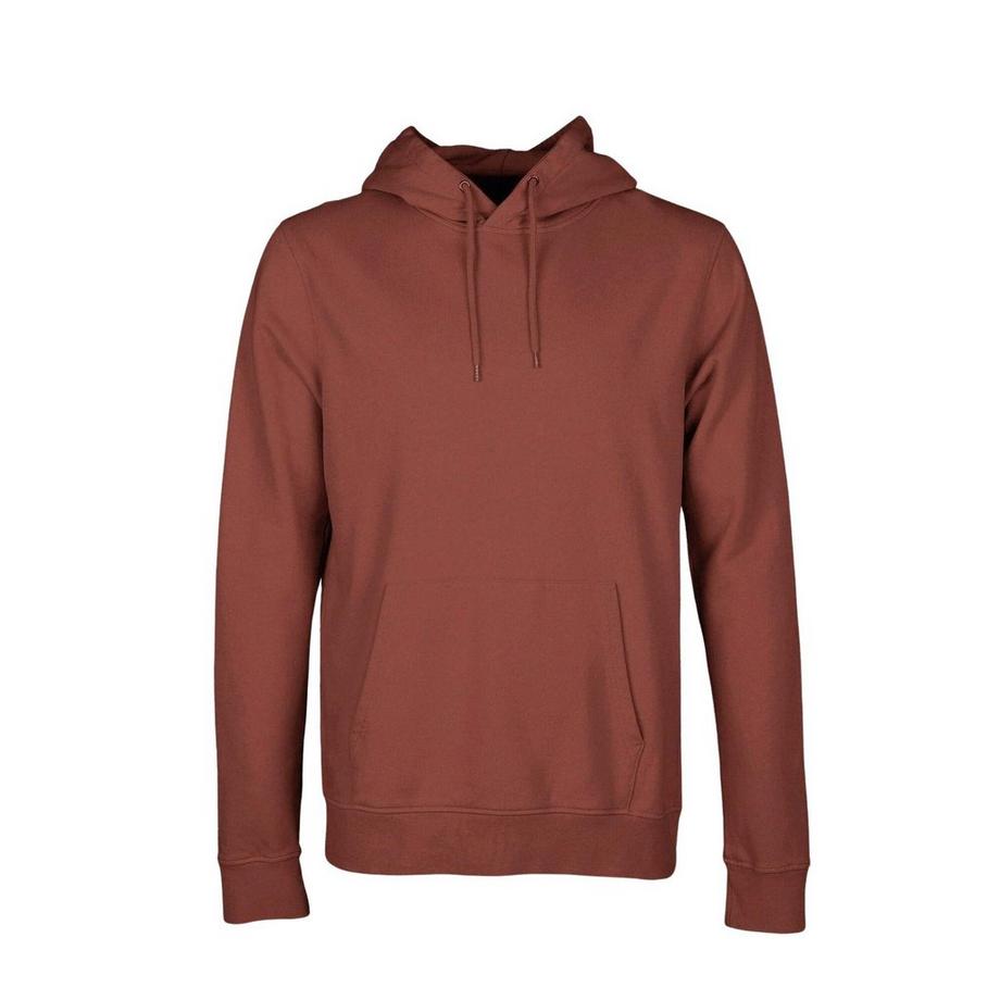 Sweatshirt à capuche  Classic Organic Cinnamon Brown