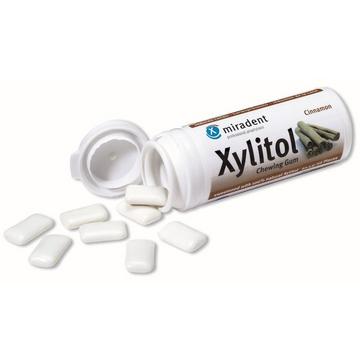 Xylitol Zimt Zahnpflegekaugummi, Dose à 30 Stk.