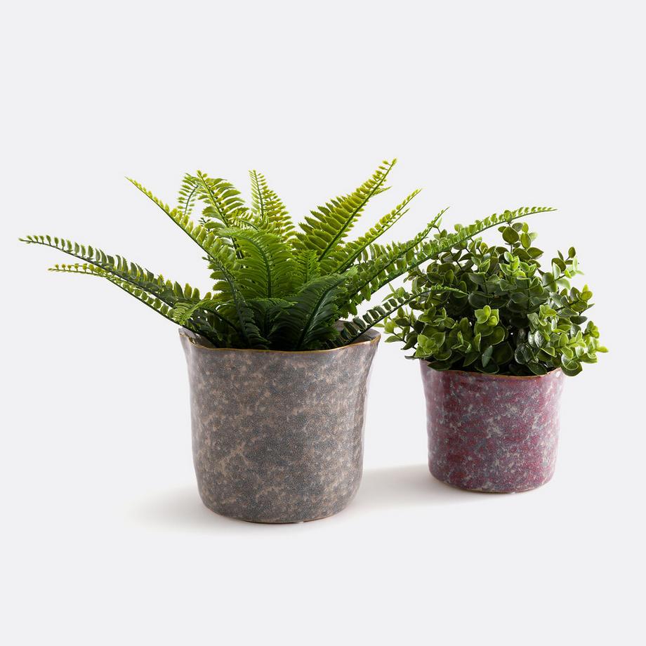 La Redoute Intérieurs Lot de 2 cache-pots céramique Ø13 et 17 cm  