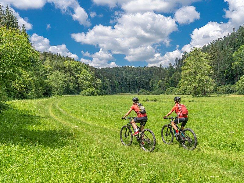 Smartbox  Escursione guidata di mezza giornata in bicicletta elettrica nel Giura - Cofanetto regalo 