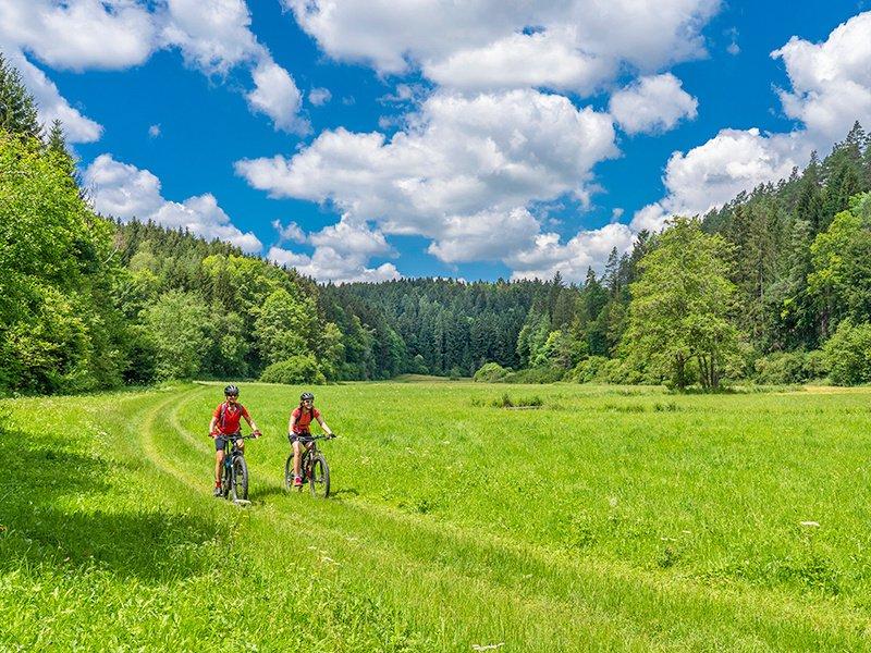 Smartbox  Escursione guidata di mezza giornata in bicicletta elettrica nel Giura - Cofanetto regalo 