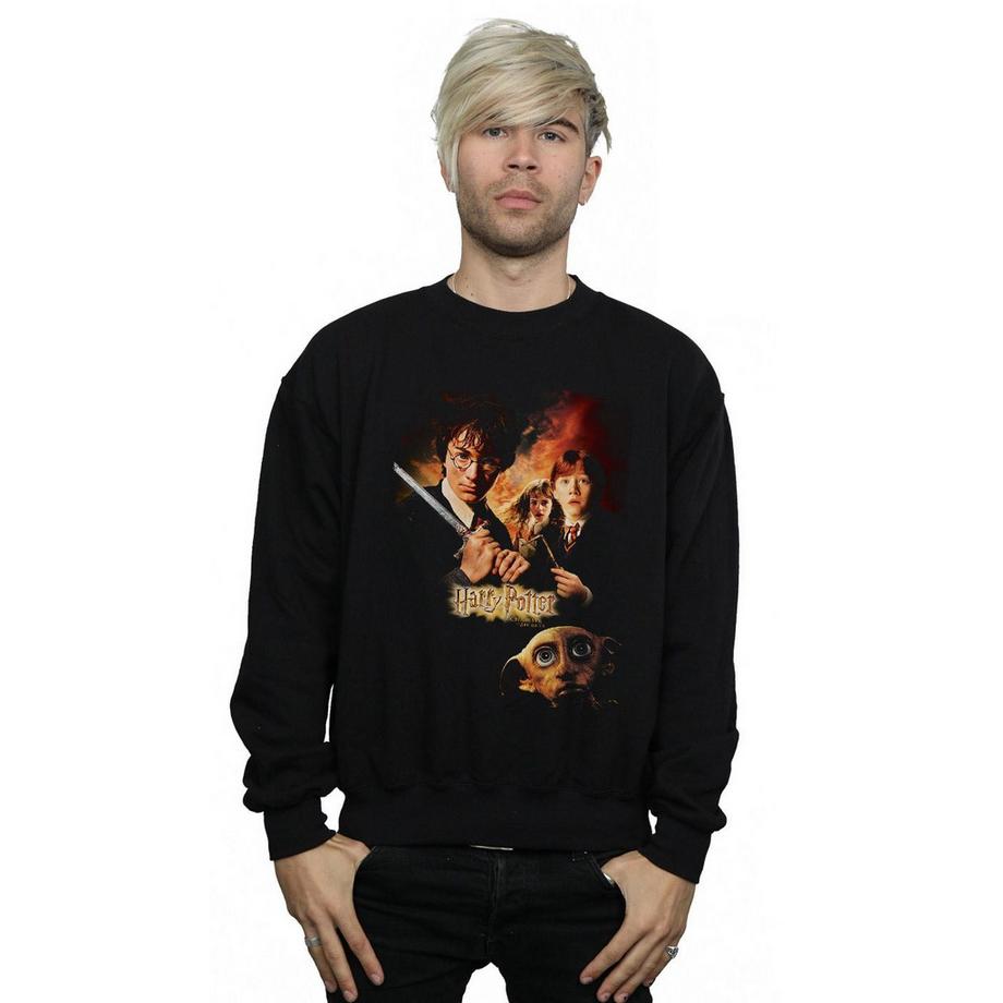 Harry Potter Chamber Of Secrets Sweatshirt  