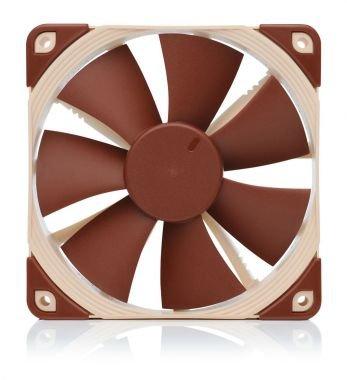 Noctua  Noctua 