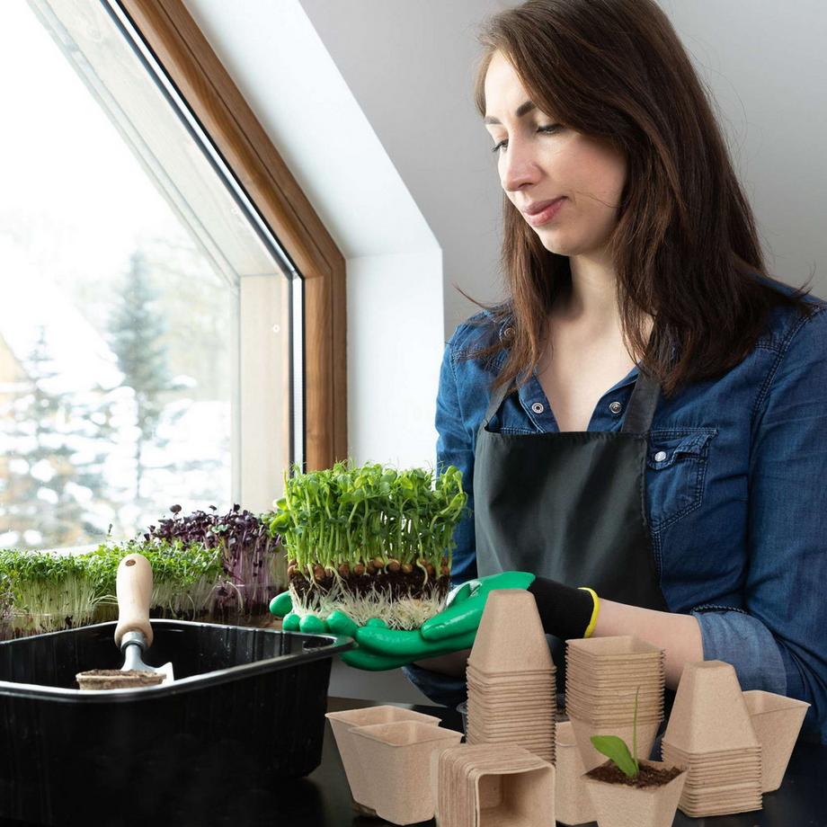 B2X Anzuchttöpfe-Set für 288 Stecklinge  