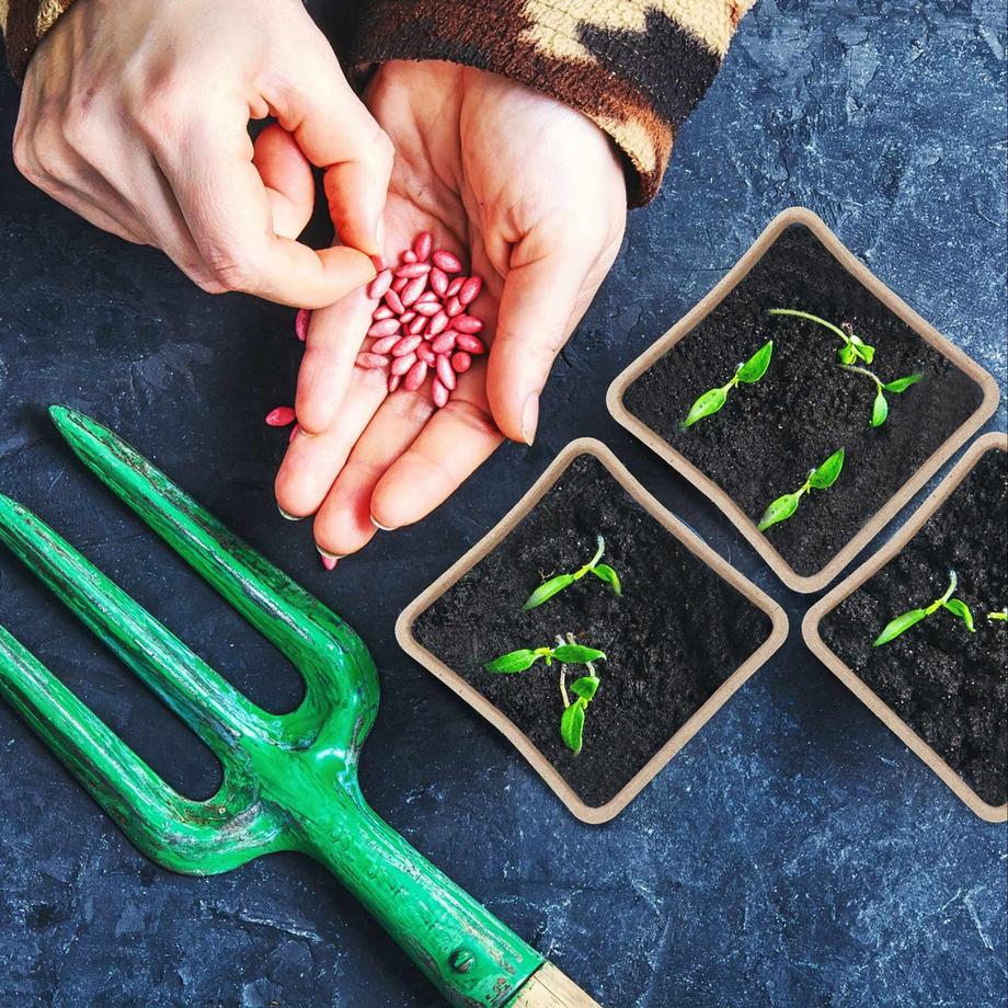 B2X Anzuchttöpfe-Set für 288 Stecklinge  