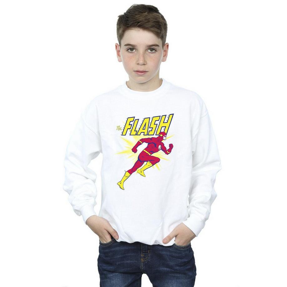 DC COMICS  Sweatshirt 