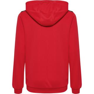 Hummel  kinder hoodie aus polyester authentic 