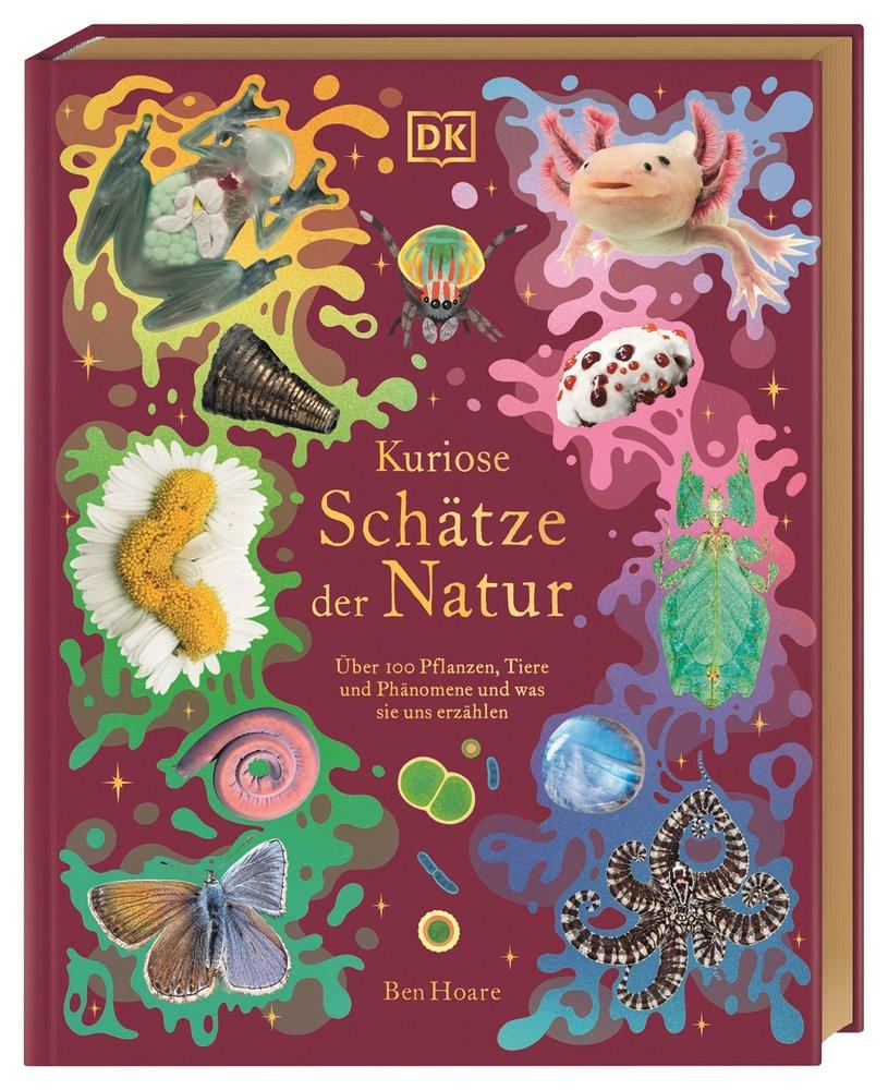 Kuriose Schätze der Natur Hoare, Ben; McKean, Kaley (Illustrationen); Sixt, Eva (Übersetzung); DK Verlag - Kids (Hrsg.) Gebundene Ausgabe 