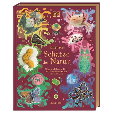 Kuriose Schätze der Natur Hoare, Ben; McKean, Kaley (Illustrationen); Sixt, Eva (Übersetzung); DK Verlag - Kids (Hrsg.) Gebundene Ausgabe 