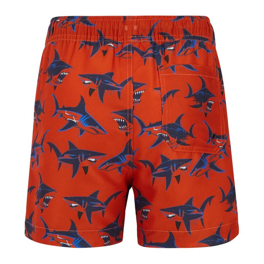 Regatta  Short De Bain Uni Skander 