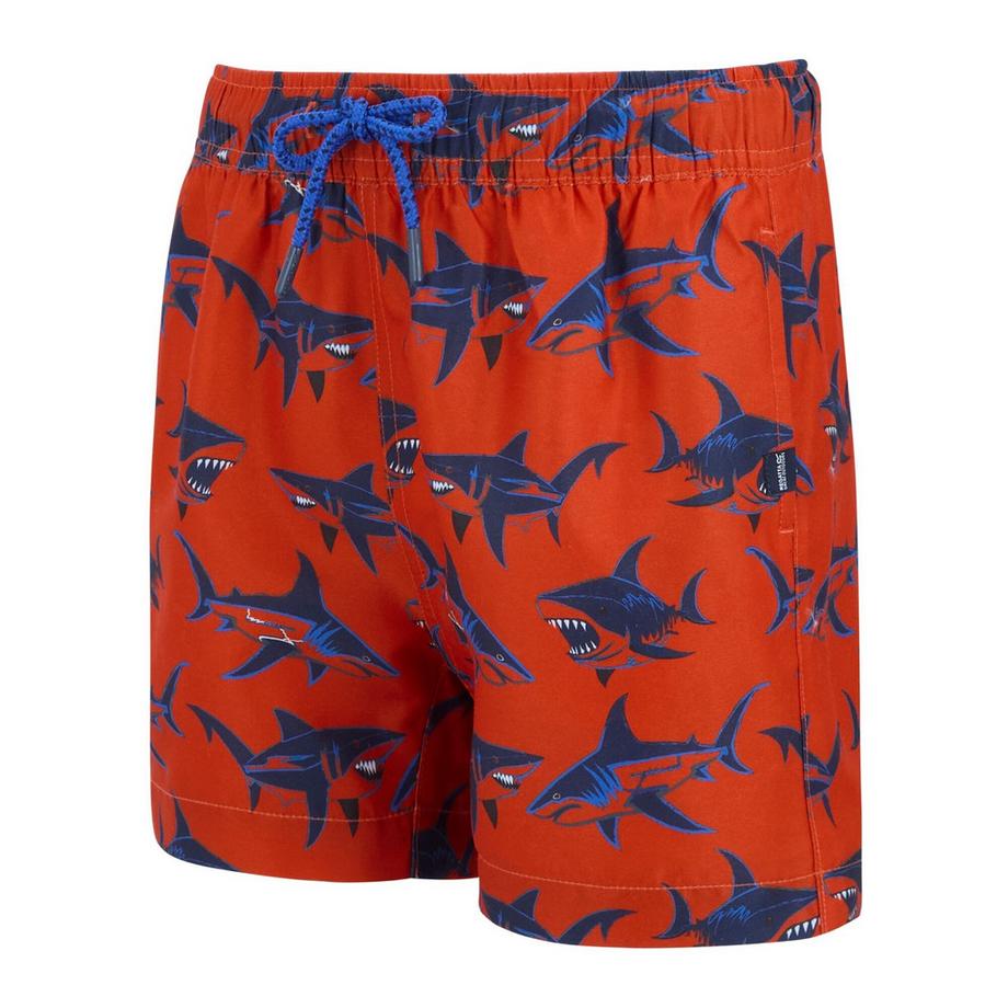 Regatta  Short De Bain Uni Skander 