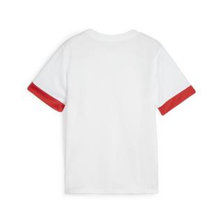 PUMA  maglia da allenamento per bambini teamgoal 