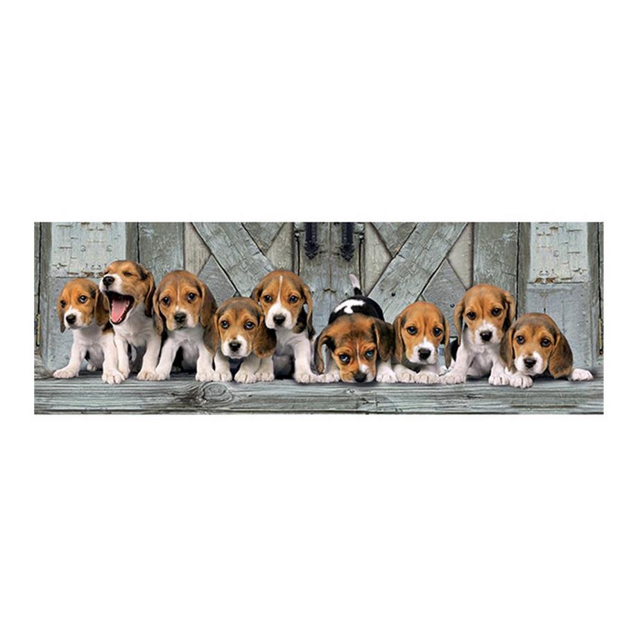 Clementoni  Puzzle Hunde Beagles (1000Teile) 