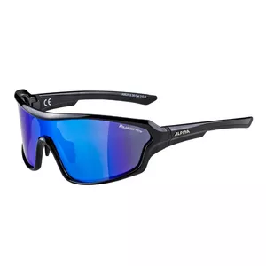 Sportbrille Alpina SORCERY CM+ 