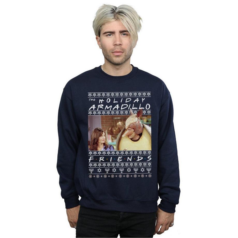 Friends Holiday Armadillo Sweatshirt  