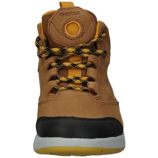 GEOX  Bottines 