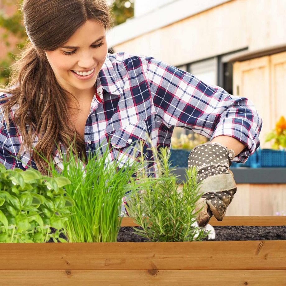B2X Growbox mit 3 Ebenen  