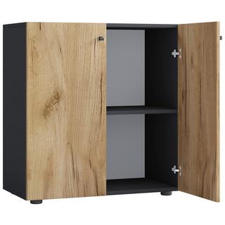 VCM Büroschrank mit 2 Fächern | moderner Aktenschrank mit Drehtüren | Maße ca. B. 70 x H. 74 x T. 40 cm - Lona 2-Fach  