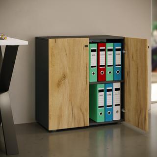 VCM Büroschrank mit 2 Fächern | moderner Aktenschrank mit Drehtüren | Maße ca. B. 70 x H. 74 x T. 40 cm - Lona 2-Fach  