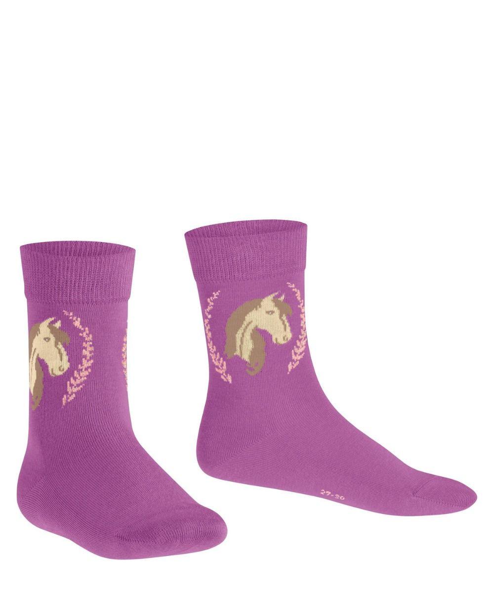 FALKE  FALKE HORSE SO-23-26 