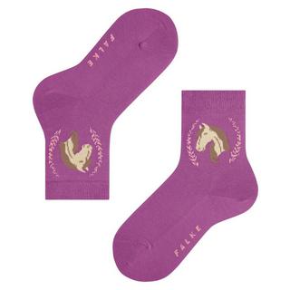 FALKE  FALKE HORSE SO-23-26 