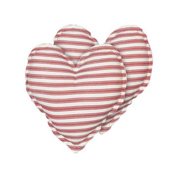 Lot de 2 coussins décoratifs en Coton Moderne RUBIA