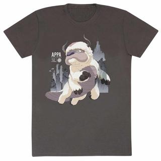 Heroes  T-shirt - Avatar – Der Herr der Elemente - Appa 