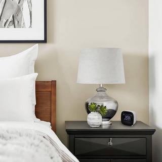 TFA Dostmann Sveglia  