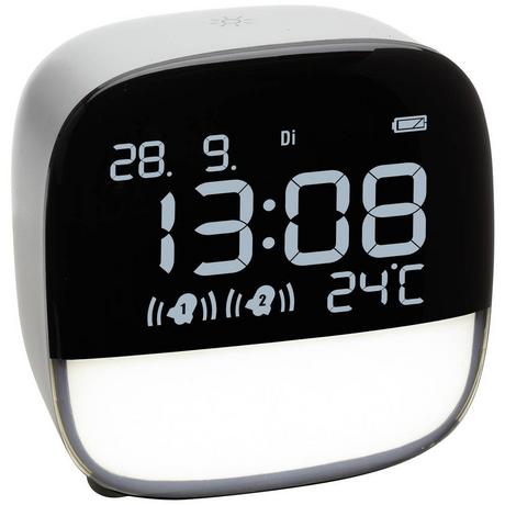 TFA Dostmann Sveglia  