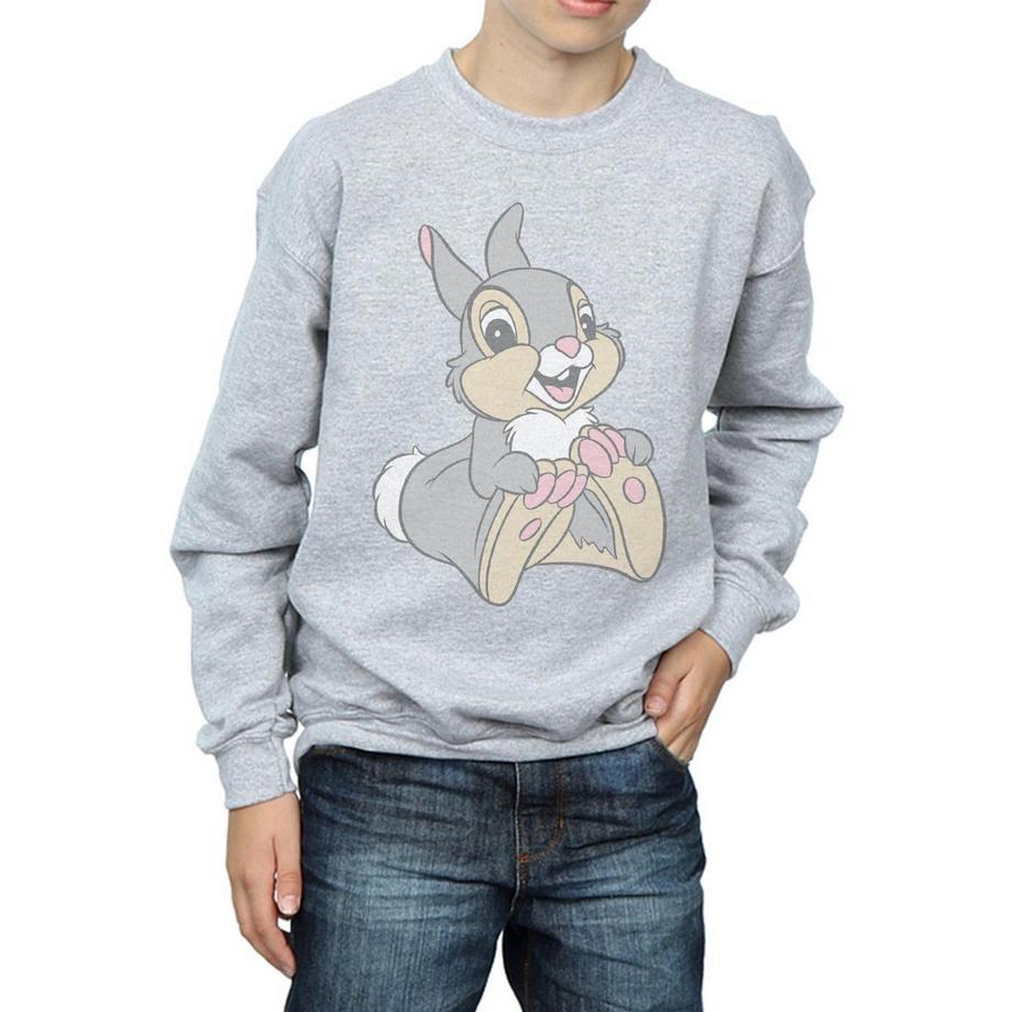 Disney  Sweatshirt 