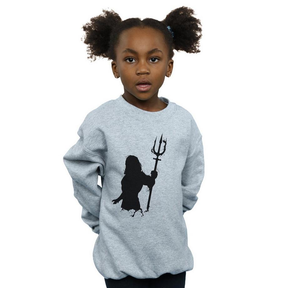 DC COMICS  Sweatshirt 