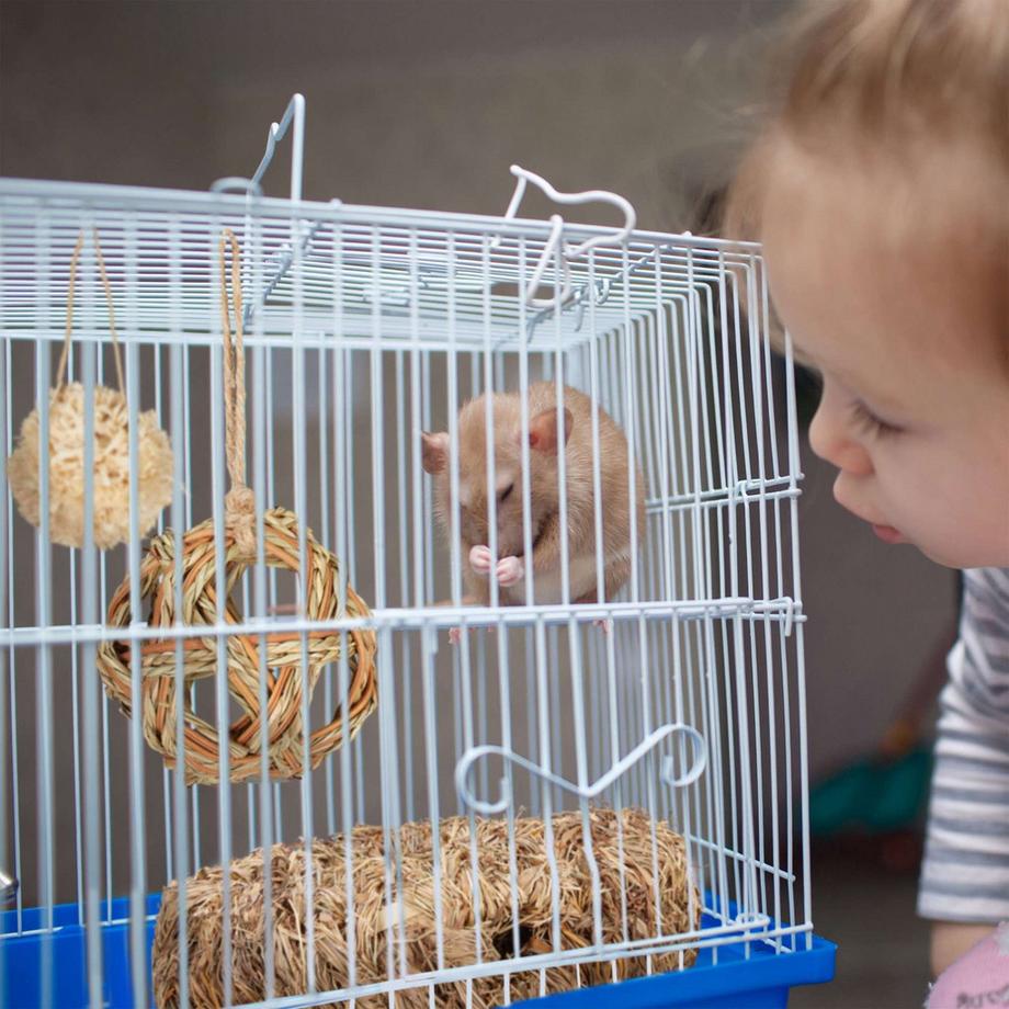 Northix  Hamster-Zubehör-Set 5-tlg. 