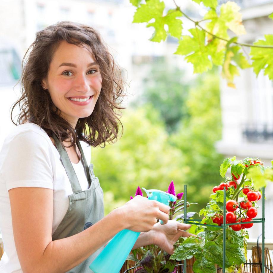 B2X Pflanzenstütze 4er Set 90 cm  