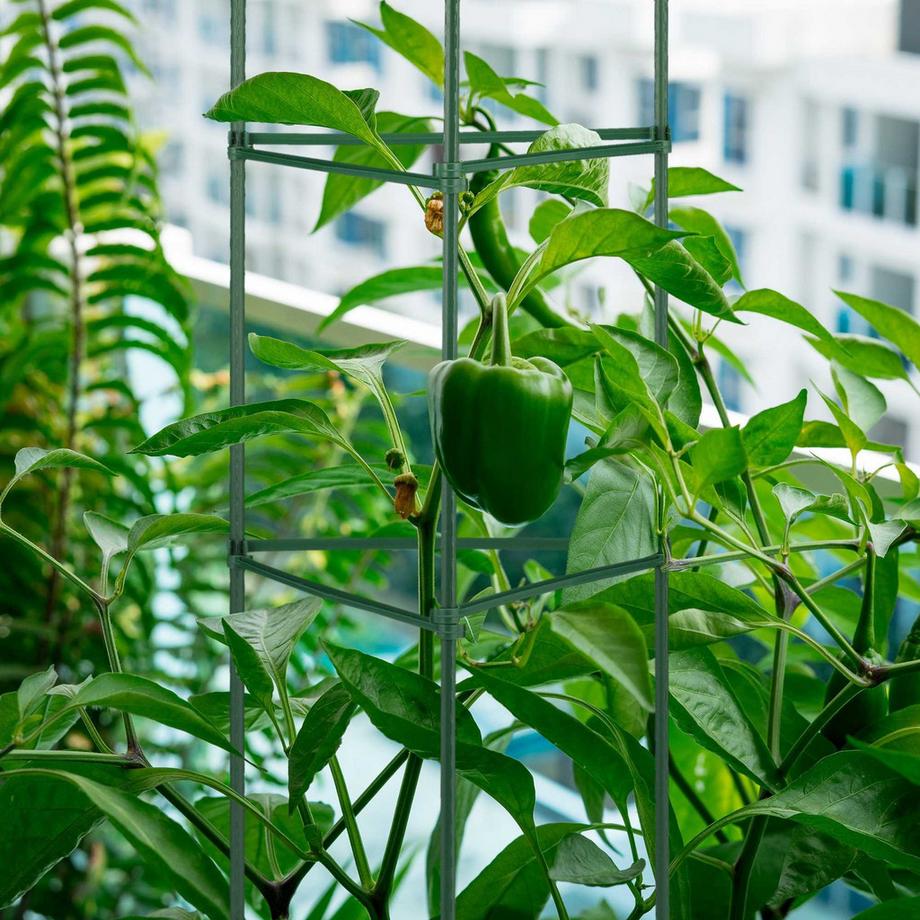 B2X Pflanzenstütze 4er Set 90 cm  