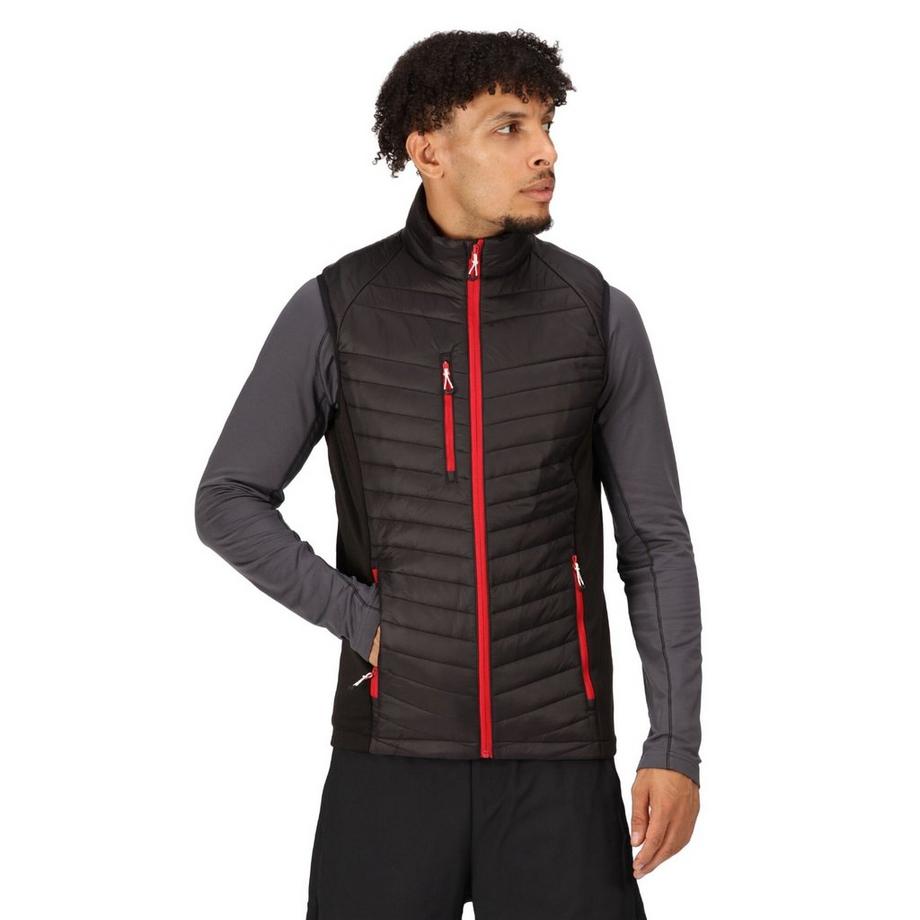 Regatta Navigate Gilet Hybride  