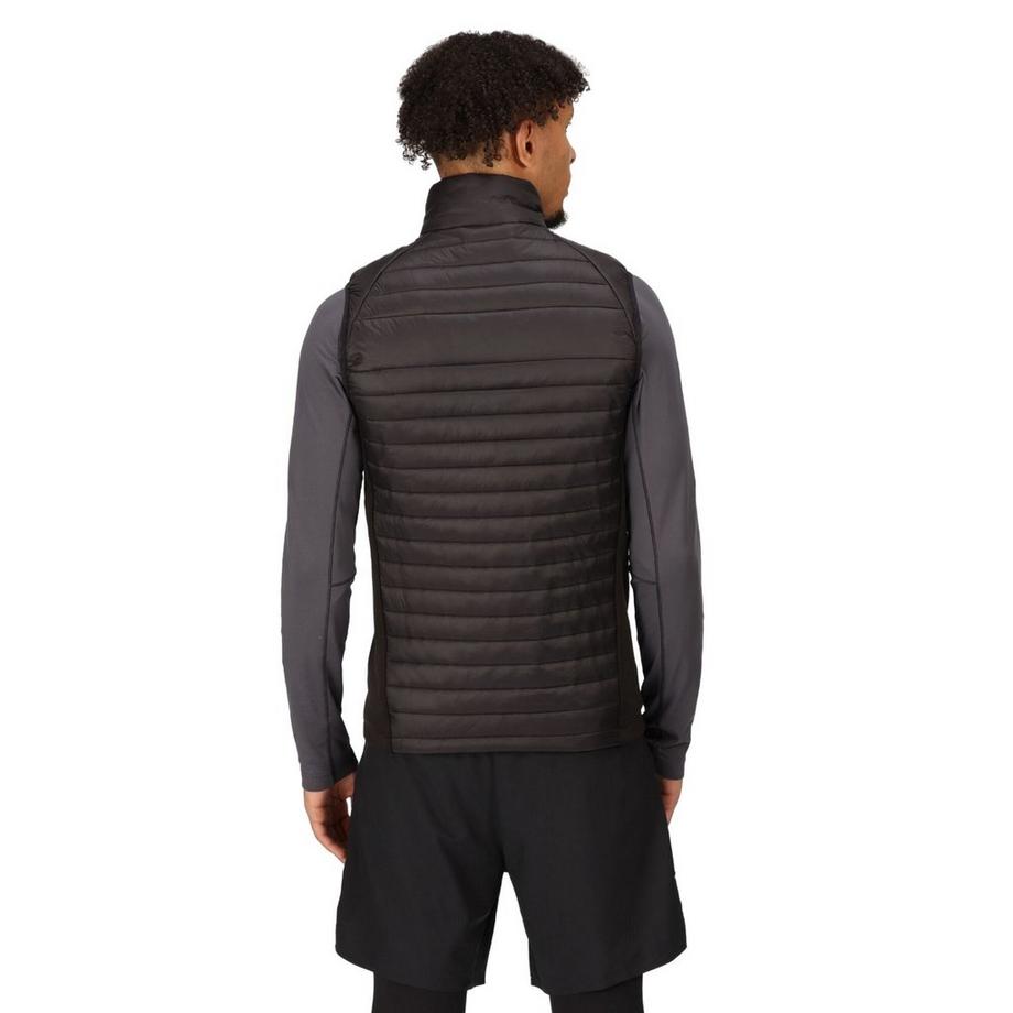 Regatta Navigate Gilet Hybride  