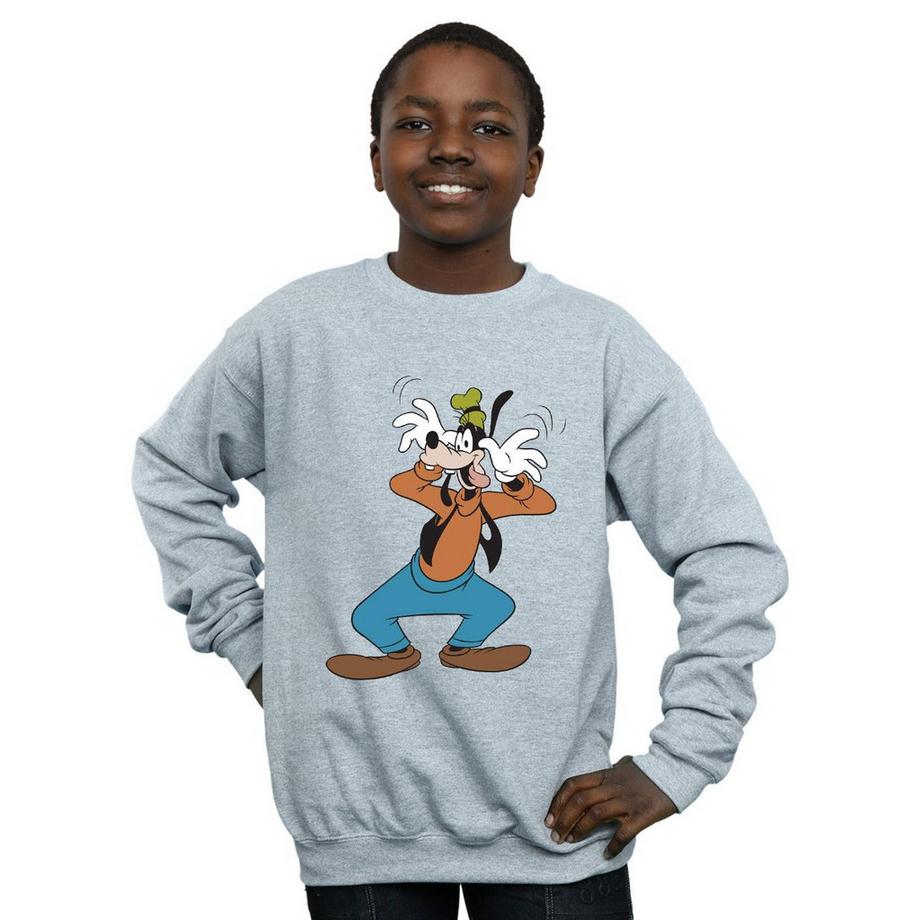 Disney  Crazy Sweatshirt 