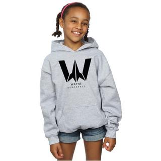 DC COMICS  Sweat à capuche JUSTICE LEAGUE WAYNE AEROSPACE 