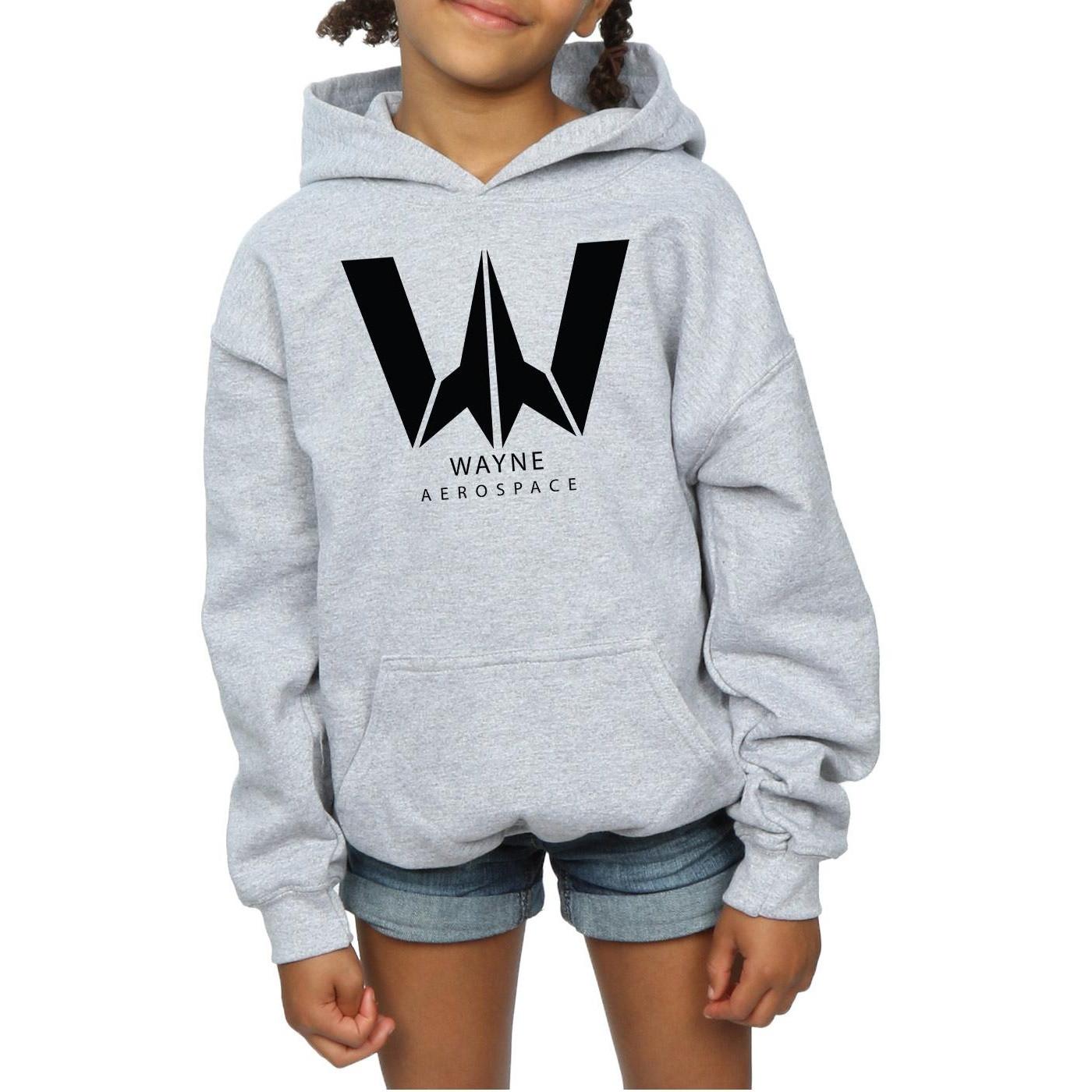 DC COMICS  Sweat à capuche JUSTICE LEAGUE WAYNE AEROSPACE 